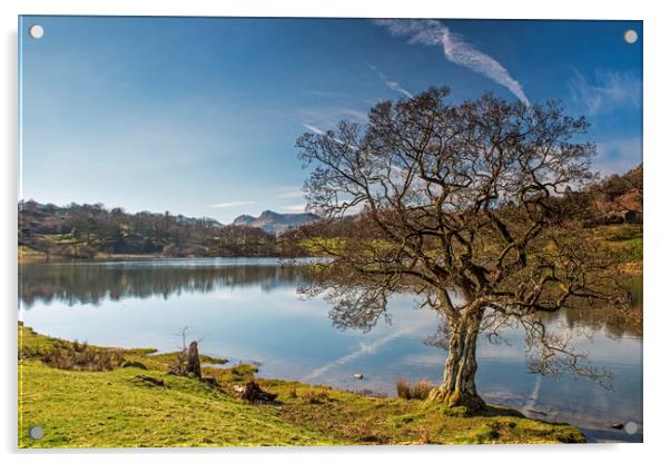 Loughrigg Tarn in the Lake District National Park  Acrylic by Nick Jenkins