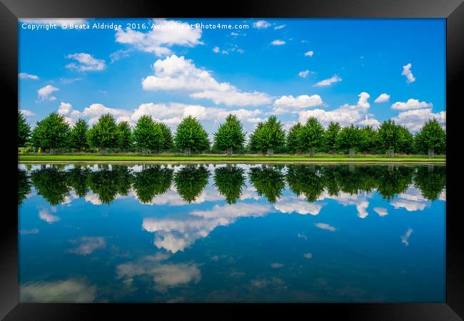 Reflections in the water Framed Print by Beata Aldridge