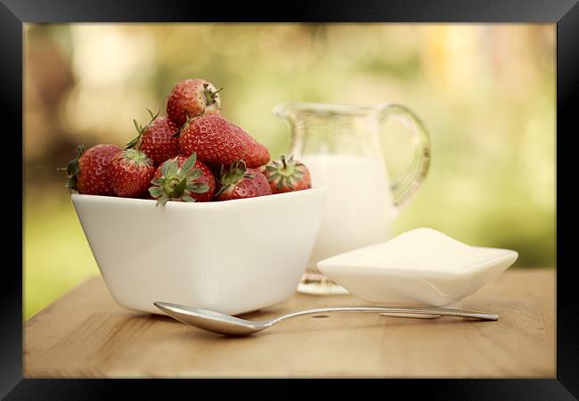 Strawberries & Cream Framed Print by Tara Taylor