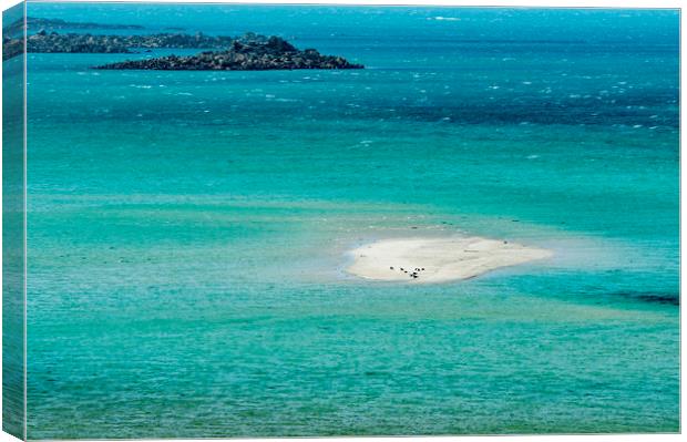 Sand Bar and Sea Scillies Canvas Print by Nick Jenkins