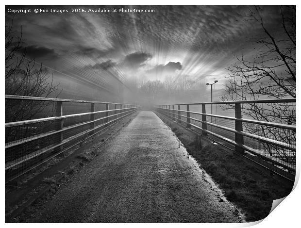 Misty bridge and trees Print by Derrick Fox Lomax