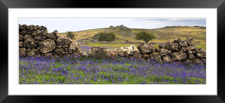 Dartmoor Spring  Framed Mounted Print by Paul Fine