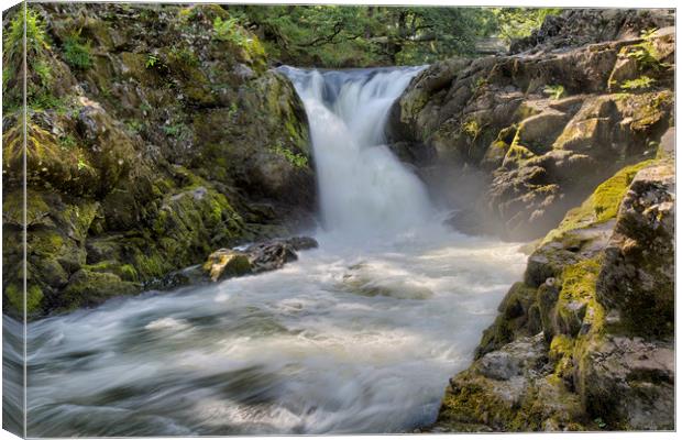 Skelwith Force Canvas Print by Roger Green