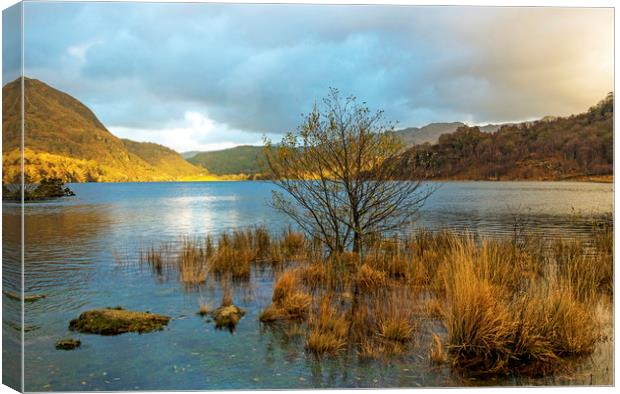 Top end of Llyn Dinas in Snowdonia National Park  Canvas Print by Nick Jenkins