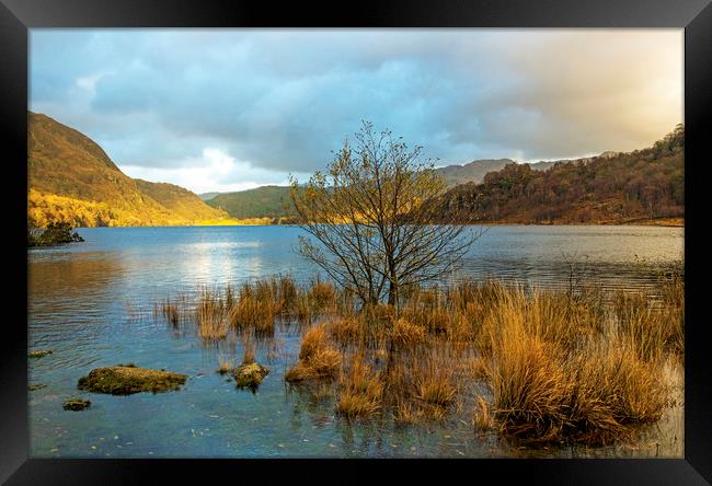 Top end of Llyn Dinas in Snowdonia National Park  Framed Print by Nick Jenkins