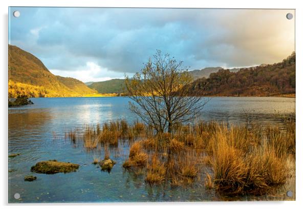 Top end of Llyn Dinas in Snowdonia National Park  Acrylic by Nick Jenkins