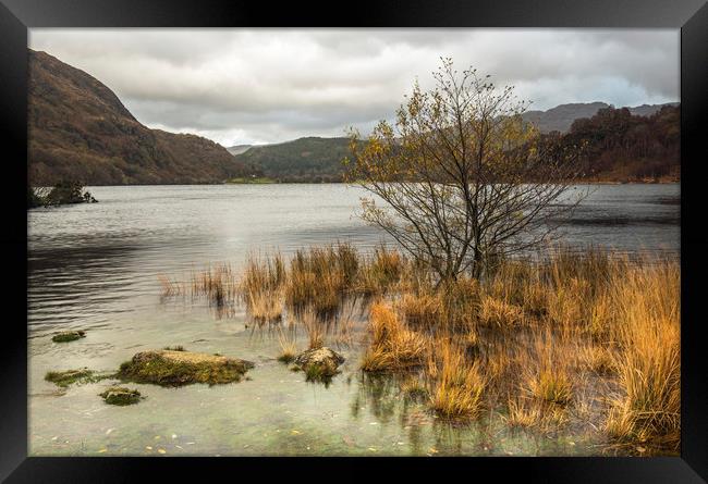 Llyn Dinas Lake in Nant Gwynant Snowdonia National Framed Print by Nick Jenkins