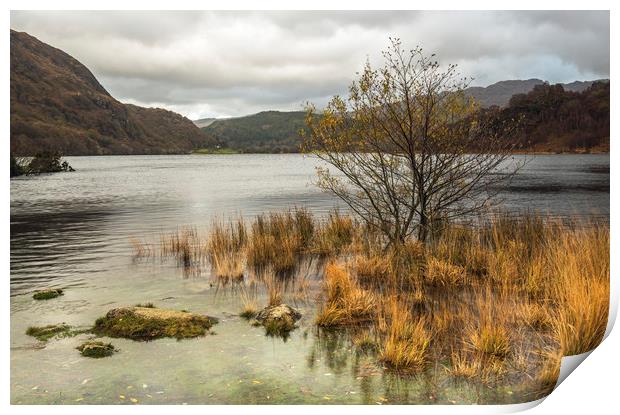 Llyn Dinas Lake in Nant Gwynant Snowdonia National Print by Nick Jenkins