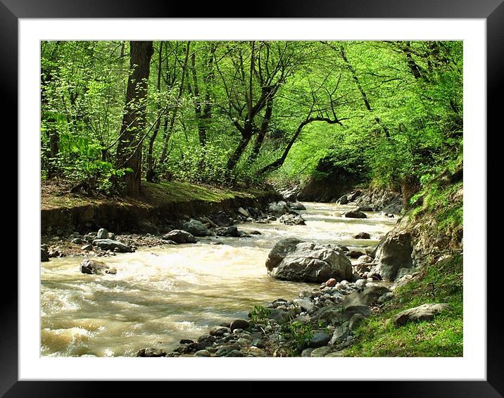 Wild River Framed Mounted Print by Shervin Moshiri