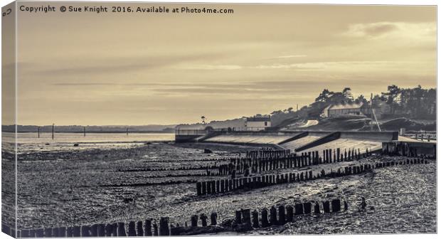 A view of  Lepe in sepia  Canvas Print by Sue Knight