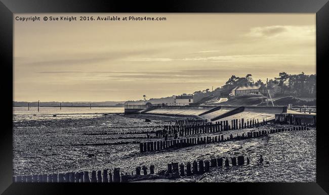 A view of  Lepe in sepia  Framed Print by Sue Knight