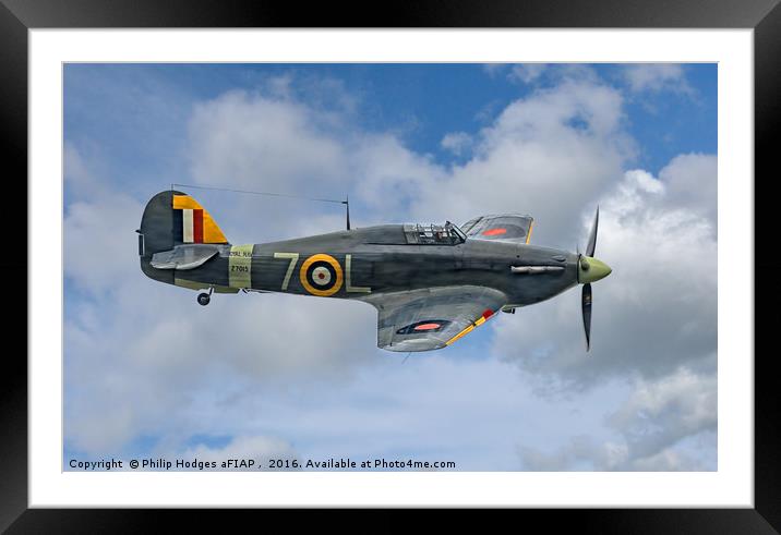Hawker Sea Hurricane Mk1b Framed Mounted Print by Philip Hodges aFIAP ,