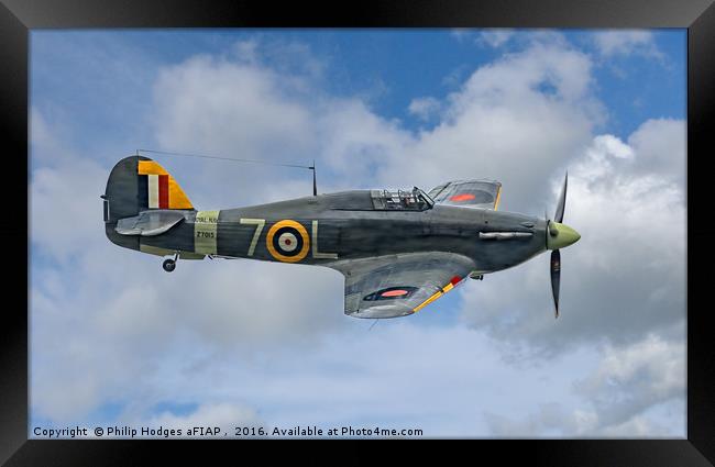 Hawker Sea Hurricane Mk1b Framed Print by Philip Hodges aFIAP ,
