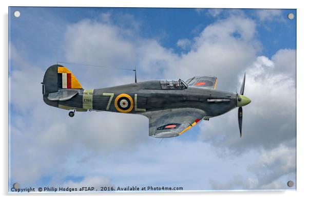Hawker Sea Hurricane Mk1b Acrylic by Philip Hodges aFIAP ,