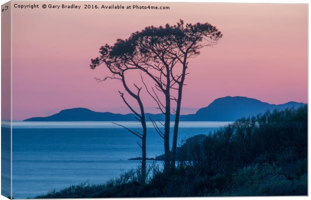 Morar Tree at Sunset Canvas Print by GBR Photos