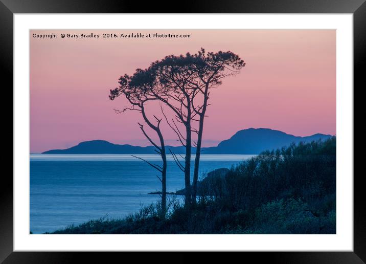 Morar Tree at Sunset Framed Mounted Print by GBR Photos