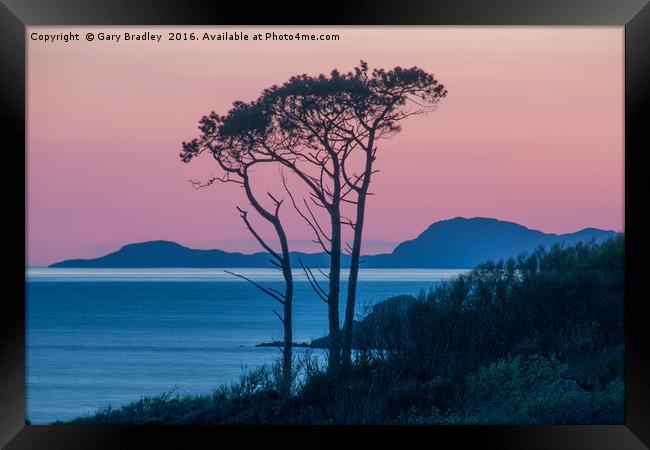 Morar Tree at Sunset Framed Print by GBR Photos