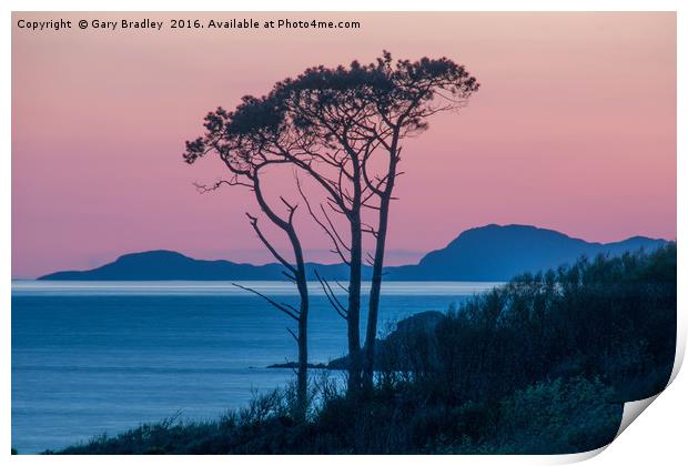 Morar Tree at Sunset Print by GBR Photos