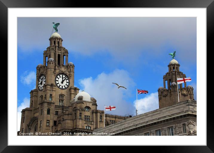 Royal Liver Building  Framed Mounted Print by David Chennell