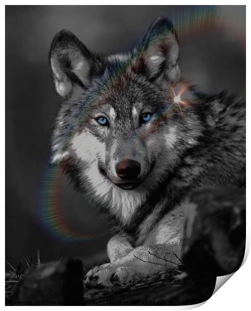 The Wolf Print by sylvia scotting