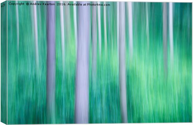 Abstract forest colours Canvas Print by Andrew Kearton