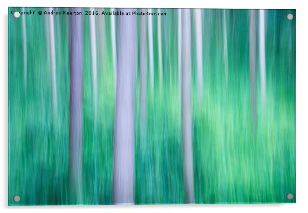Abstract forest colours Acrylic by Andrew Kearton
