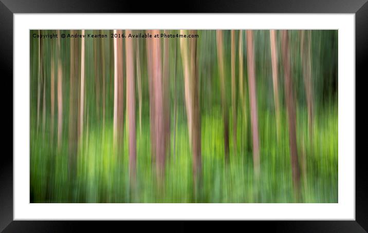 Colours of Erncroft woods Framed Mounted Print by Andrew Kearton