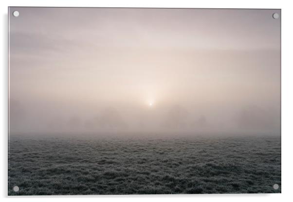 Sunrise through fog on a frosty morning. Norfolk,  Acrylic by Liam Grant
