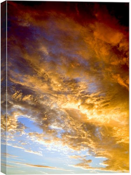 Burning Sky Canvas Print by Mike Gorton