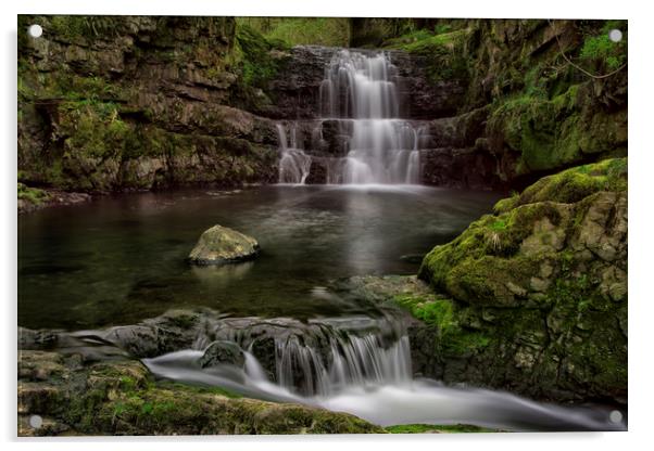 Dinas Rock Waterfalls Acrylic by Eric Pearce AWPF