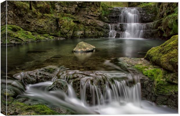 The Flow at Pontneddfechan Canvas Print by Eric Pearce AWPF