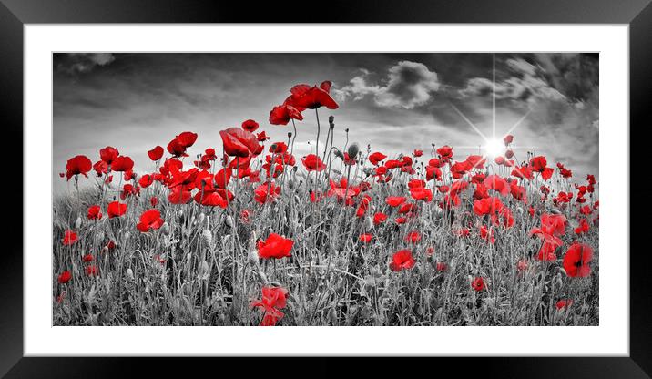 Idyllic Field of Poppies with Sun Framed Mounted Print by Melanie Viola
