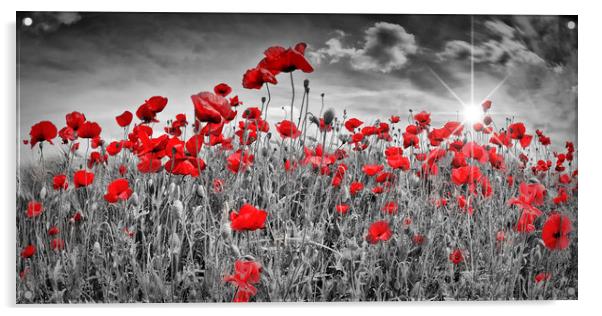 Idyllic Field of Poppies with Sun Acrylic by Melanie Viola
