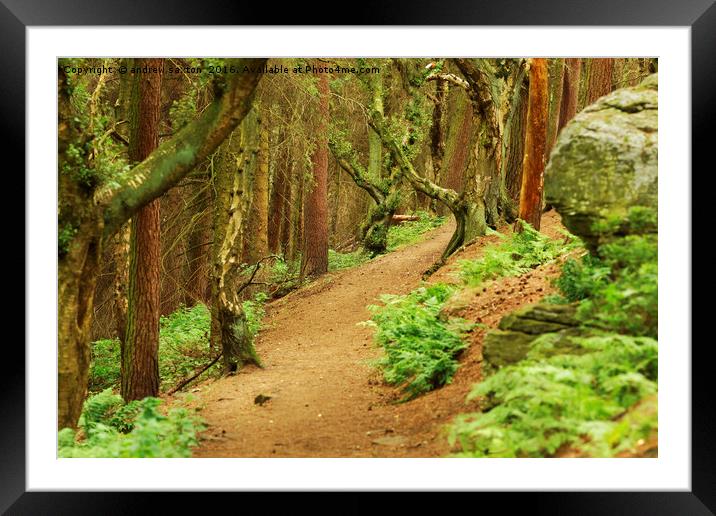 BROWN PATH Framed Mounted Print by andrew saxton