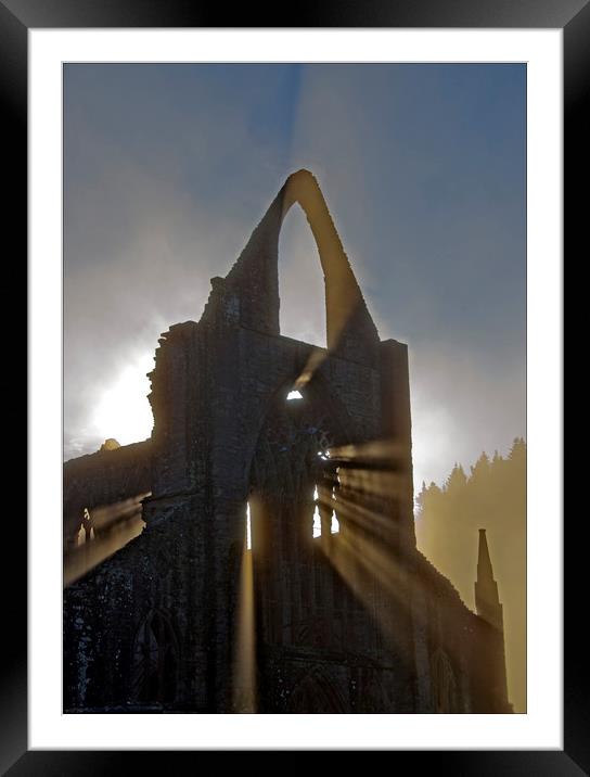Tintern Abbey  Framed Mounted Print by Eric Pearce AWPF