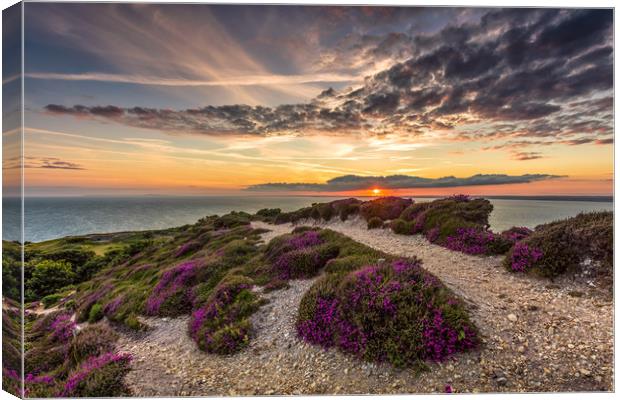 Headon Hill Sunset Canvas Print by Wight Landscapes