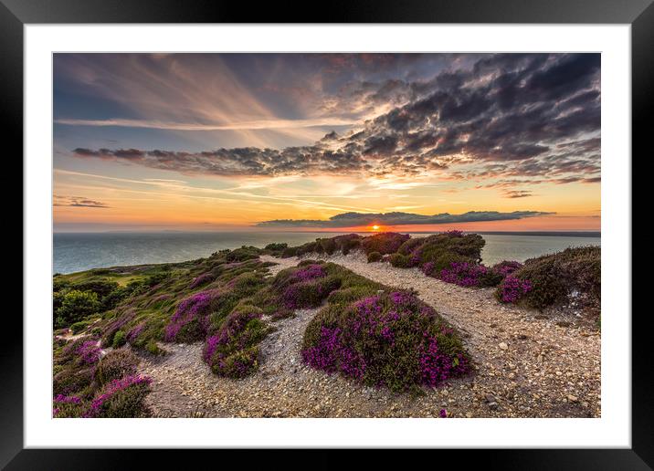 Headon Hill Sunset Framed Mounted Print by Wight Landscapes
