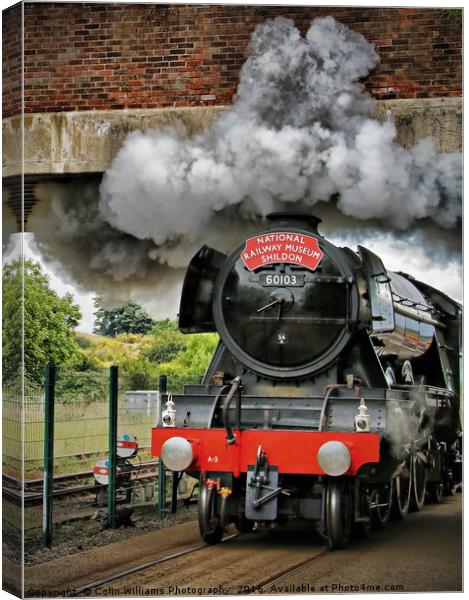 The Return Of The Flying Scotsman NRM Shildon 1 Canvas Print by Colin Williams Photography