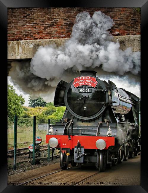 The Return Of The Flying Scotsman NRM Shildon 1 Framed Print by Colin Williams Photography