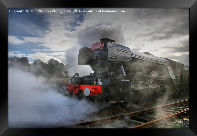 The Return Of The Flying Scotsman NRM Shildon 2 Framed Print by Colin Williams Photography