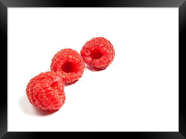 Raspberries Framed Print by Jeni Harney
