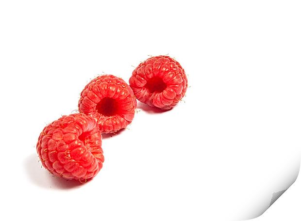 Raspberries Print by Jeni Harney