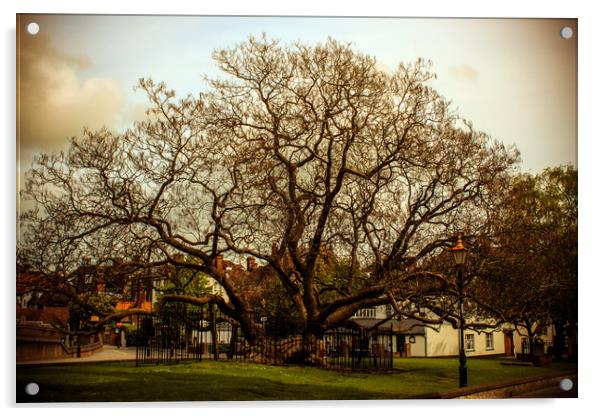 Rare Gothic Tree in Rochester Highstreet Acrylic by Zahra Majid