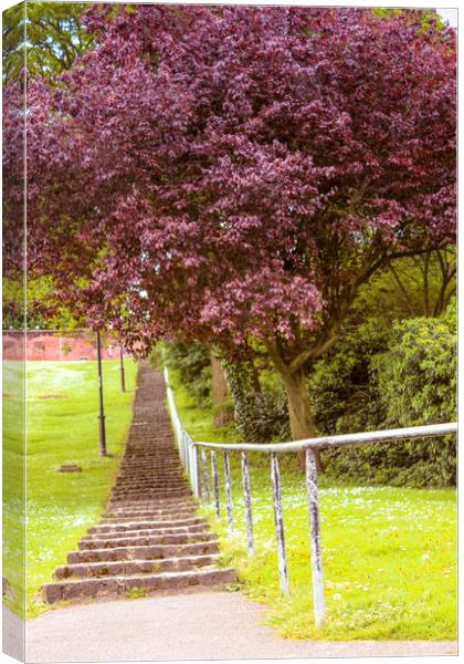Spring in Kent Canvas Print by Zahra Majid