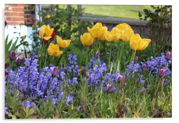 Summer Daffodils in Kent Acrylic by Zahra Majid