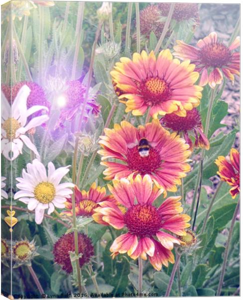 Multi Coloured Flowers with Bee Canvas Print by Lynn Bolt