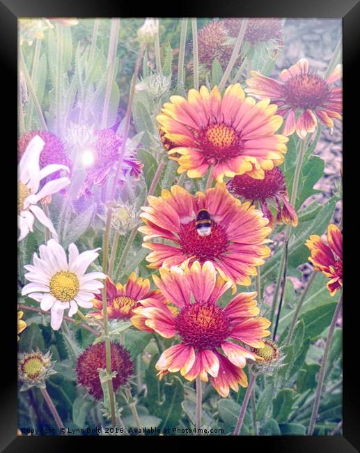 Multi Coloured Flowers with Bee Framed Print by Lynn Bolt