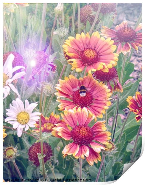 Multi Coloured Flowers with Bee Print by Lynn Bolt