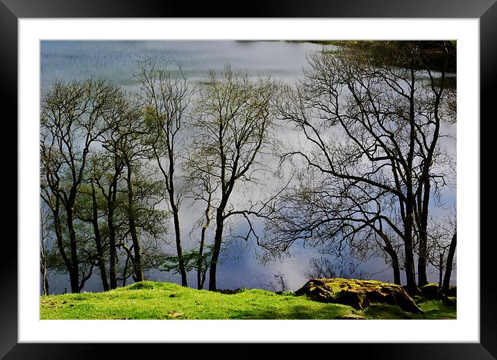 Trees by the Tarn Framed Mounted Print by Kleve 