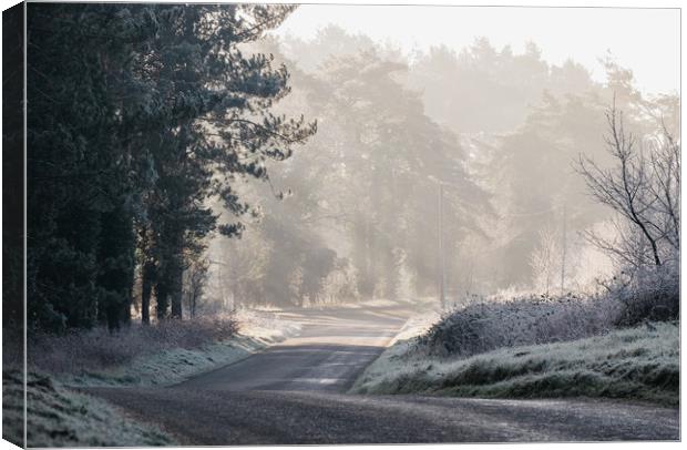 Rays of sunlight and frost along a remote country  Canvas Print by Liam Grant